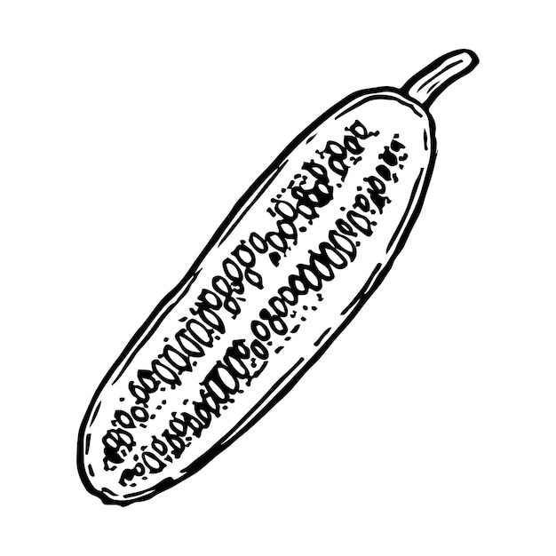 Vettore schizzo di cetriolo verdure tagliate dieta alimentare vegetariana illustrazione vettoriale disegnata a mano