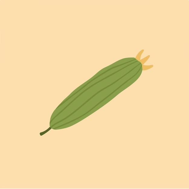 Cucumber Slice Vegetable Symbol Social Media Post Vector Illustration