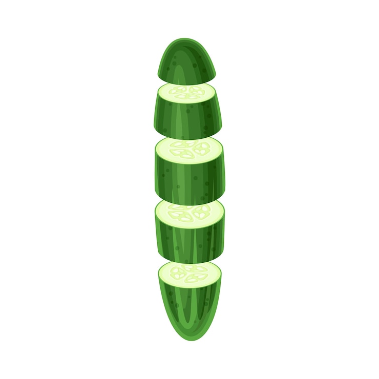 Vector cucumber slices lying in vertical row healthy organic vegetable vector illustration