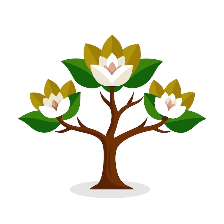 Vector cucumber tree magnolia acuminata tree nature flat vector illustration on white background