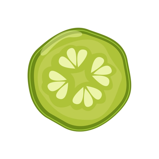 Vector cucumber vector illustration