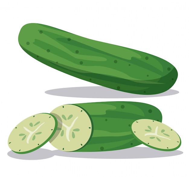 Vector cucumber vegetable healthy nutrition