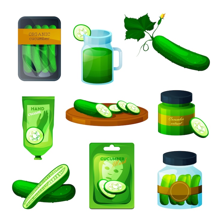 Vector cucumber vegetable vegetarian smoothie juice and pickles