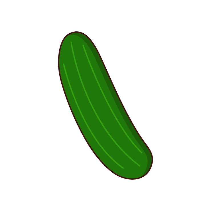 Vector cucumber on a white background
