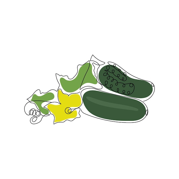 Cucumber with leaves and flower in continuous line art drawing style. Hand drawn vector illustration