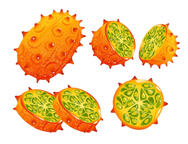 Cucumis metuliferus Kiwano of Hoornmelon Choperella met spikes