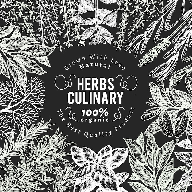 Culinary herbs and spices banner template.