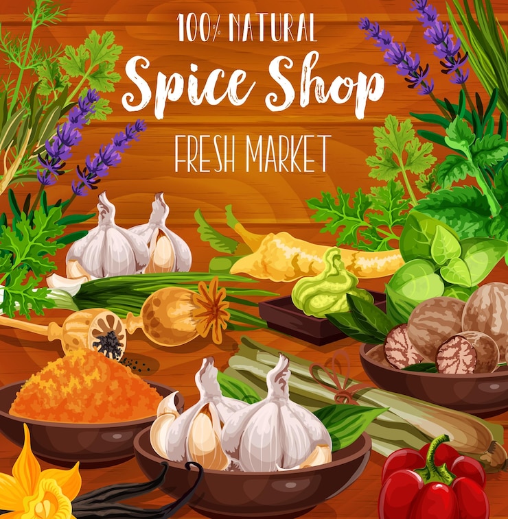 Vector culinary spice herbs cooking seasonings sketch