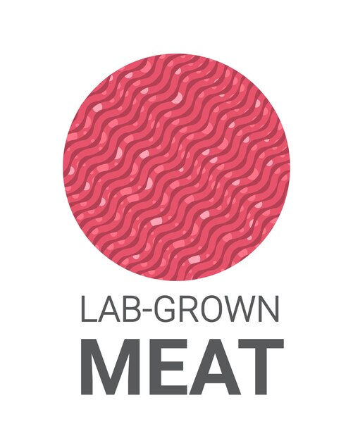 Vector cultured raw red meat made from animal cells artificial lab grown meat production concept vertical copy space vector illustration
