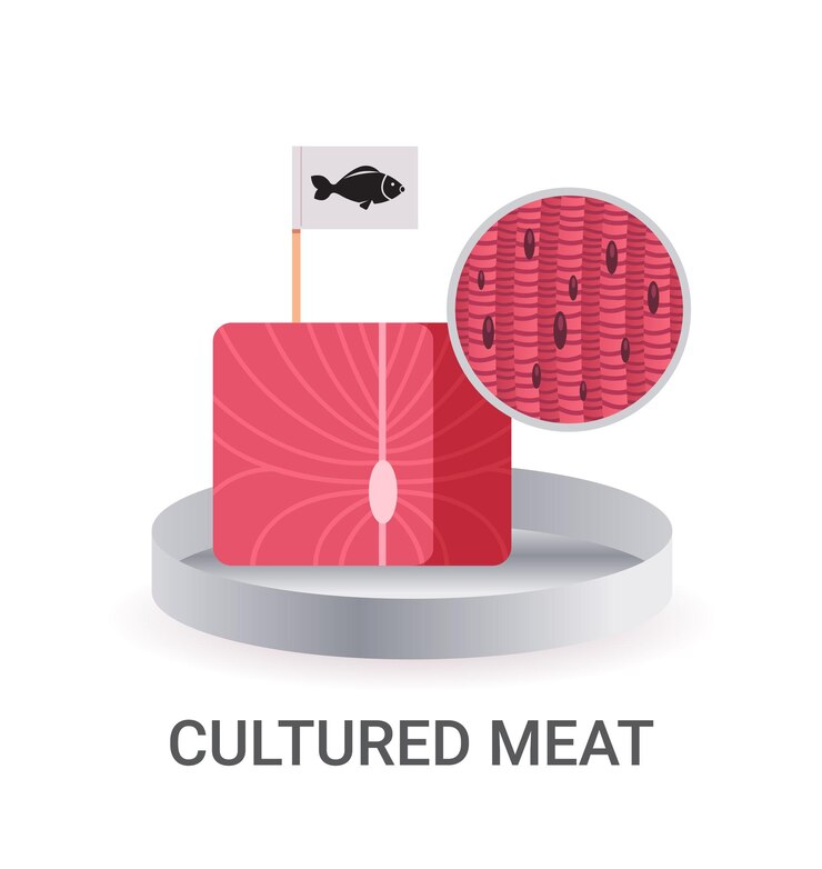 Vector cultured raw red meat with label made from fish cells artificial lab grown meat production concept vector illustration