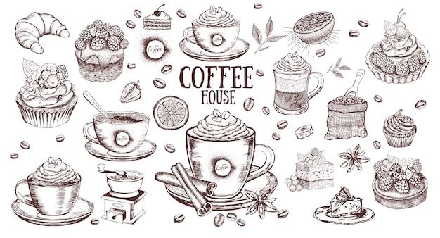 Cup of coffee and coffee beans hand drawn vector background in vintage style