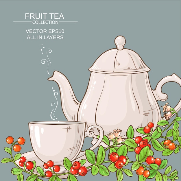 Vector cup of cranberry tea and teapot