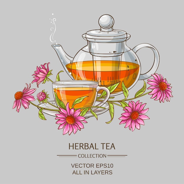 Vector cup or echinacea tea and teapot