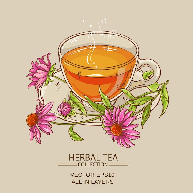 Vector cup of echinacea tea