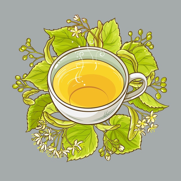 Cup of linden tea