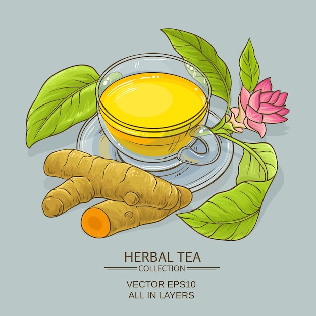 Vector cup of turmeric tea