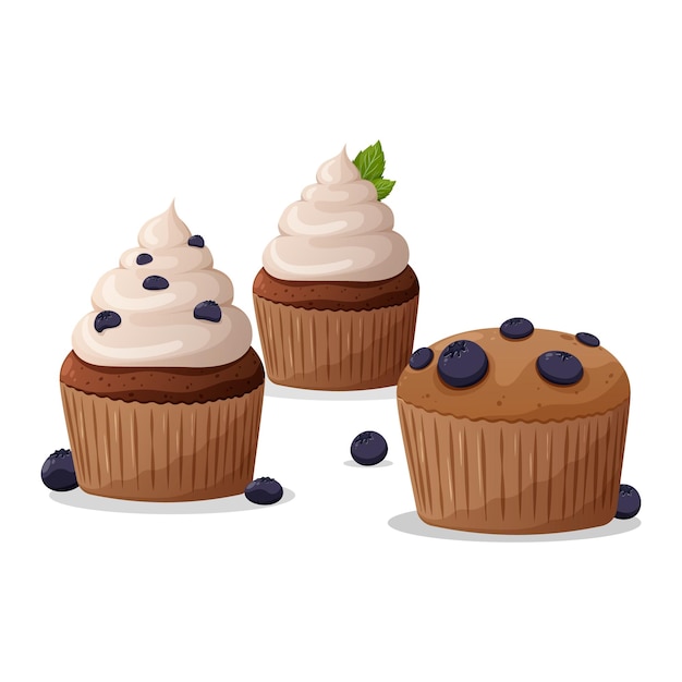 Cupcakes blueberry muffins mint leaf decor whipped cream Homemade pastry sweets vector image