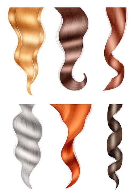 Vector curl hairs highlights brown and blonde lush curly hair isolated decent vector realistic pictures