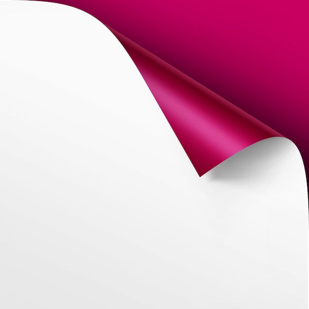 Curled corner of White paper with shadow Mock up Close up Isolated on Bright Pink Magenta Background