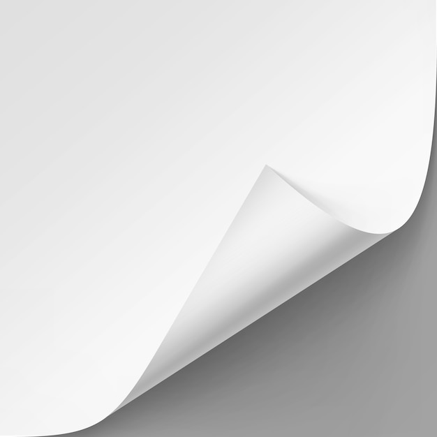 Curled corner of White paper