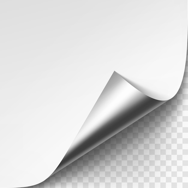 Vector curled silver metalic corner of white paper with shadow  close up  on transparent background