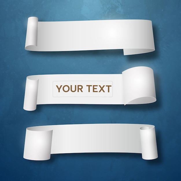 Curled strips of paper for your text Vector illustration