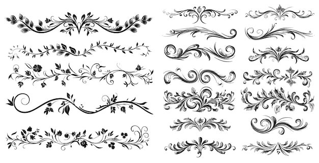 Vector curly branches swirly design elements antique decor