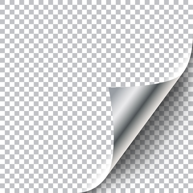 Vector curly page corner