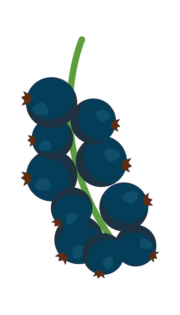 Currant branch icon vector illustration