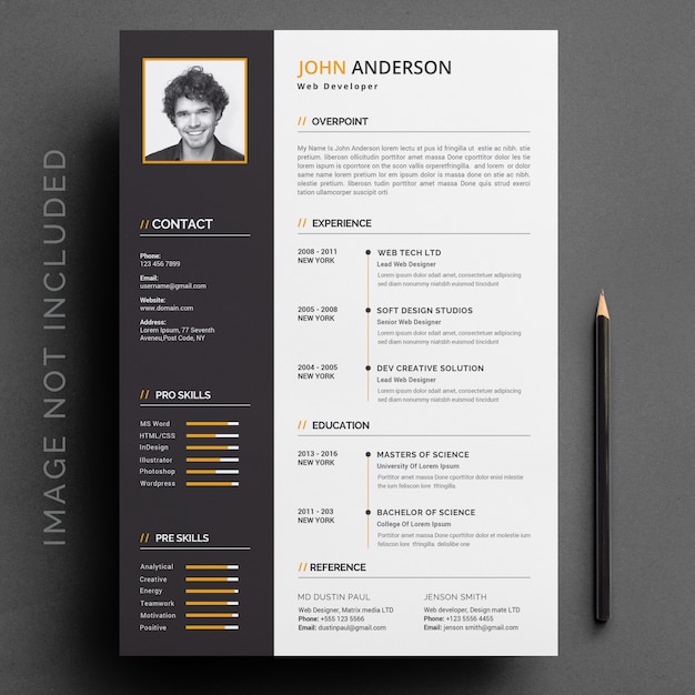 Vector curriculum template