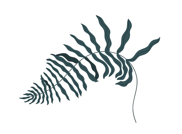 Curved fern frond isolated on white background. Green leaf of bracken plant. Monochrome flat vector illustration.