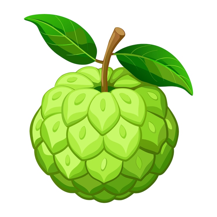 वेक्टर custard apple flat icon on white background