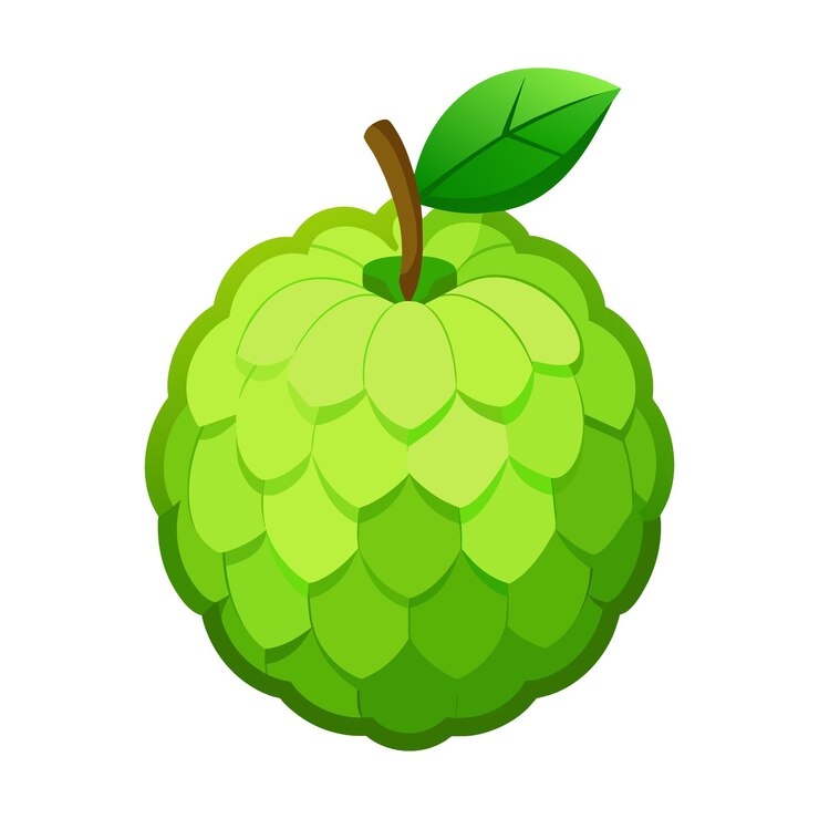 वेक्टर custard apple fruit