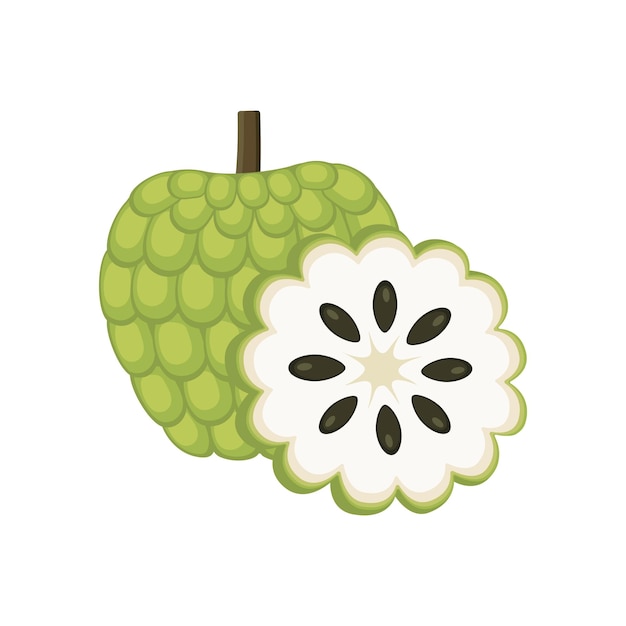 Custard apple set design with isolated whole cut tropical fruit Sugar apple in flat detailed vector