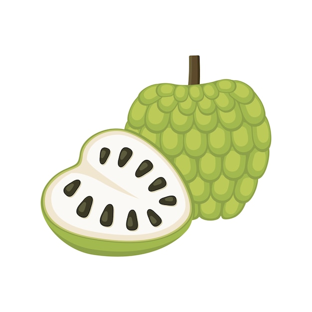 Custard apple set design with isolated whole cut tropical fruit Sugar apple in flat detailed vector