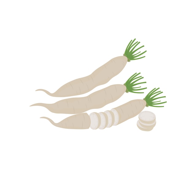 Vettore tagliare il logo dell'illustrazione vegetale del ravanello daikon