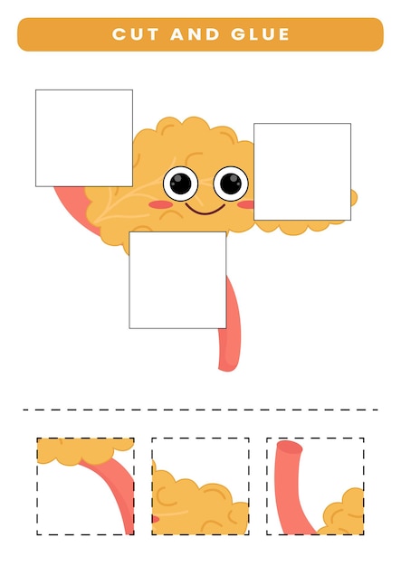 子供のためのカットと接着剤かわいい漫画の人体解剖学と臓器