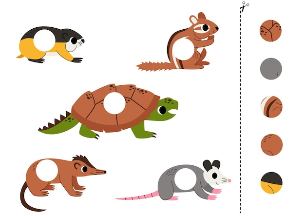 Vector cut and glue parts of cute cartoon north american animals