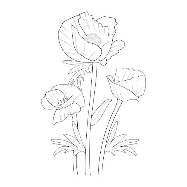 https://img.freepik.com/premium-vector/cut-kids-coloring-page-hand-drawn-red-flower-poppy-vector-illustration-white-background_700860-96.jpg?size=626&ext=jpg