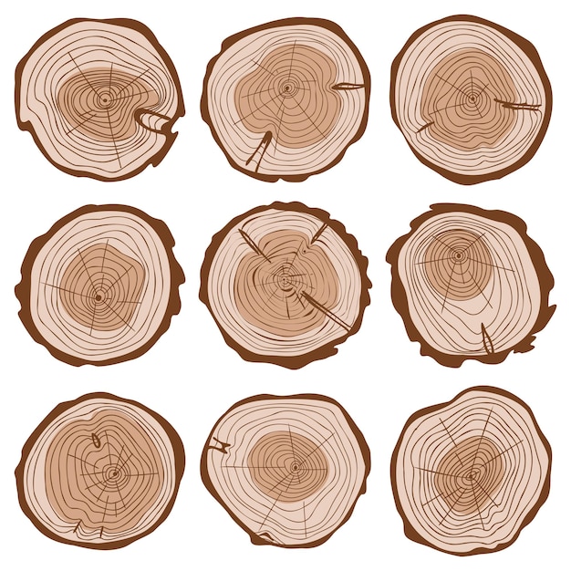 벡터 나무 줄기 색상 세트 라운드 컷 로그 수집 물결 모양의 반지 생활 동심원 손으로 그린 원의 컷