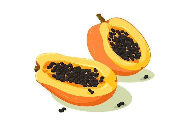 Tagliare a metà la papaya elementi piatti del cartone animato vettoriale isolati sullo sfondo