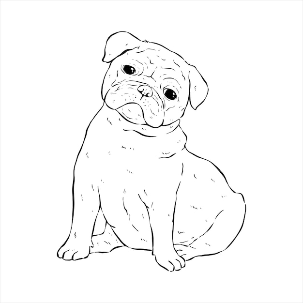 cut pug dog with hand draw or sketch style on white background