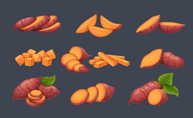 Vector cut sweet potato or yam