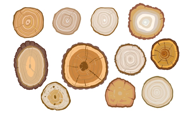 A cut of a tree saw cut set large of round elements of different types of wood illustration