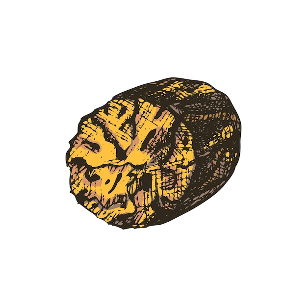 Вырезанная векторная иллюстрация мускатного ореха в стиле рисования от руки Ароматерапия и приправы ингредиенты для специй глинтвейна