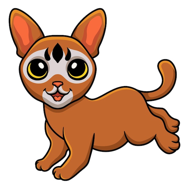 Cute abyssinian cat cartoon walking