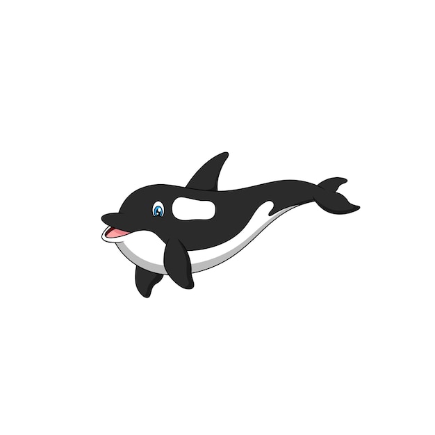 Vector cute and adorable cartoon killer whale