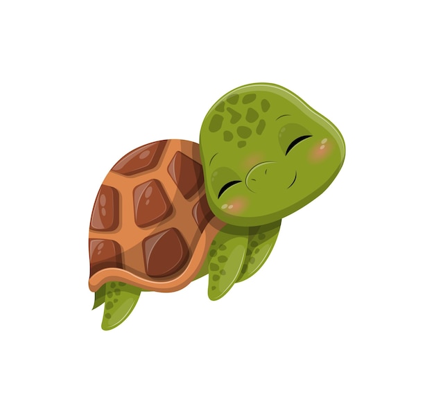 Cute adorable turtle