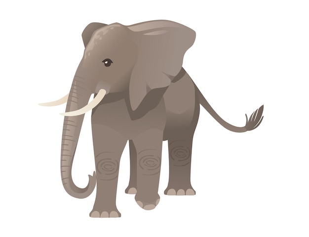 Vettore carino elefante adulto sulla passeggiata cartone animato animale design piatto illustrazione vettoriale isolato su sfondo bianco