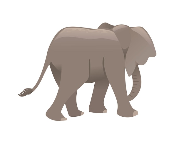 Carino elefante adulto a piedi andare via cartone animato animale design piatto illustrazione vettoriale isolato su sfondo bianco